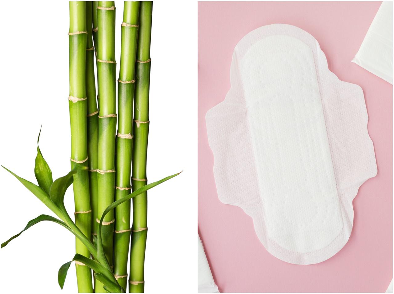 生理用ナプキンのトレンドは竹素材?海外で急増する「バンブーパッド」に注目