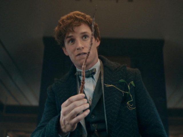 ニュート役のエディ・レッドメイン、“打ち切り”を噂される『ファンタビ』の「今後」について語る