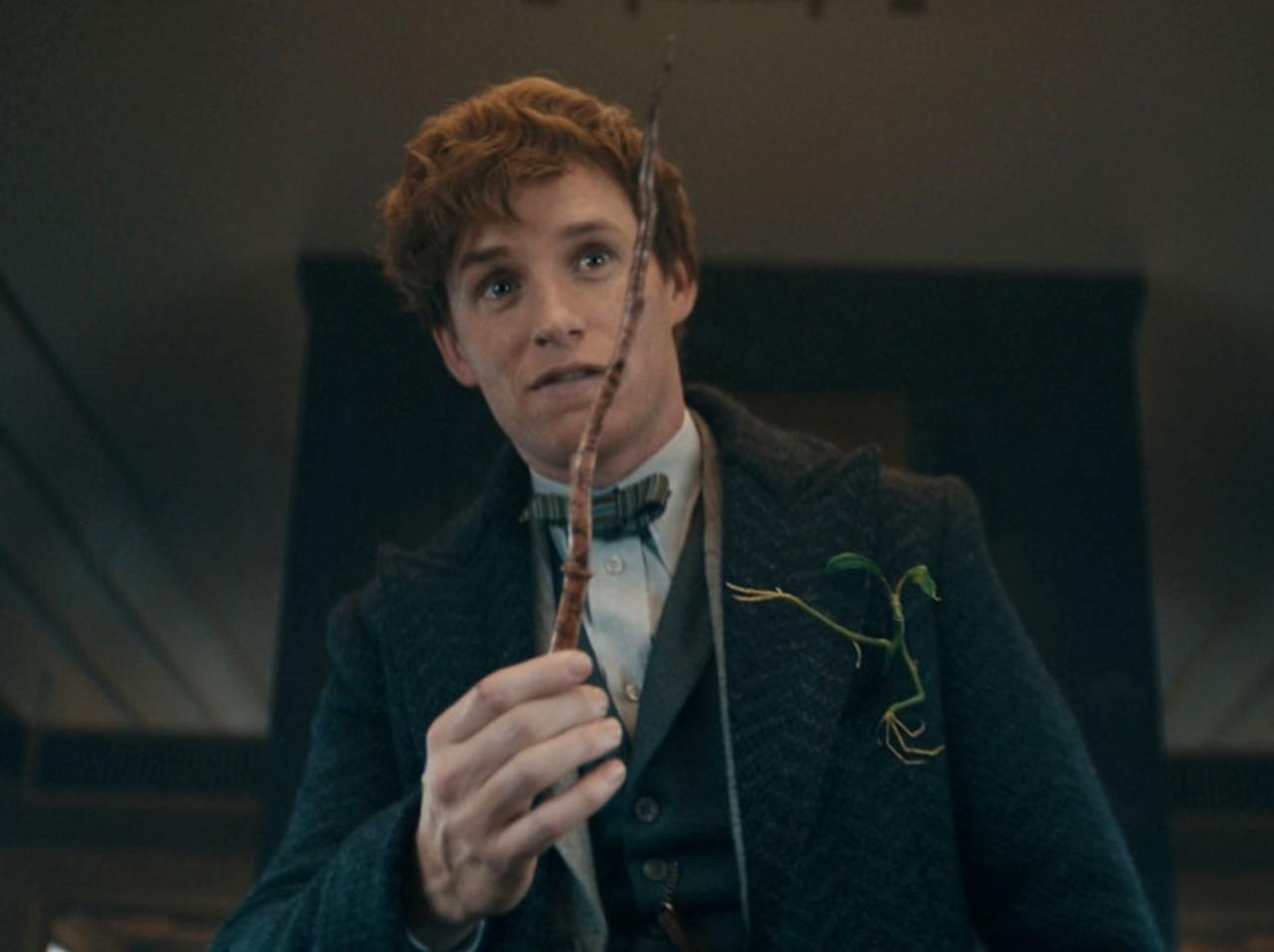 ニュート役のエディ・レッドメイン、“打ち切り”を噂される『ファンタビ』の「今後」について語る