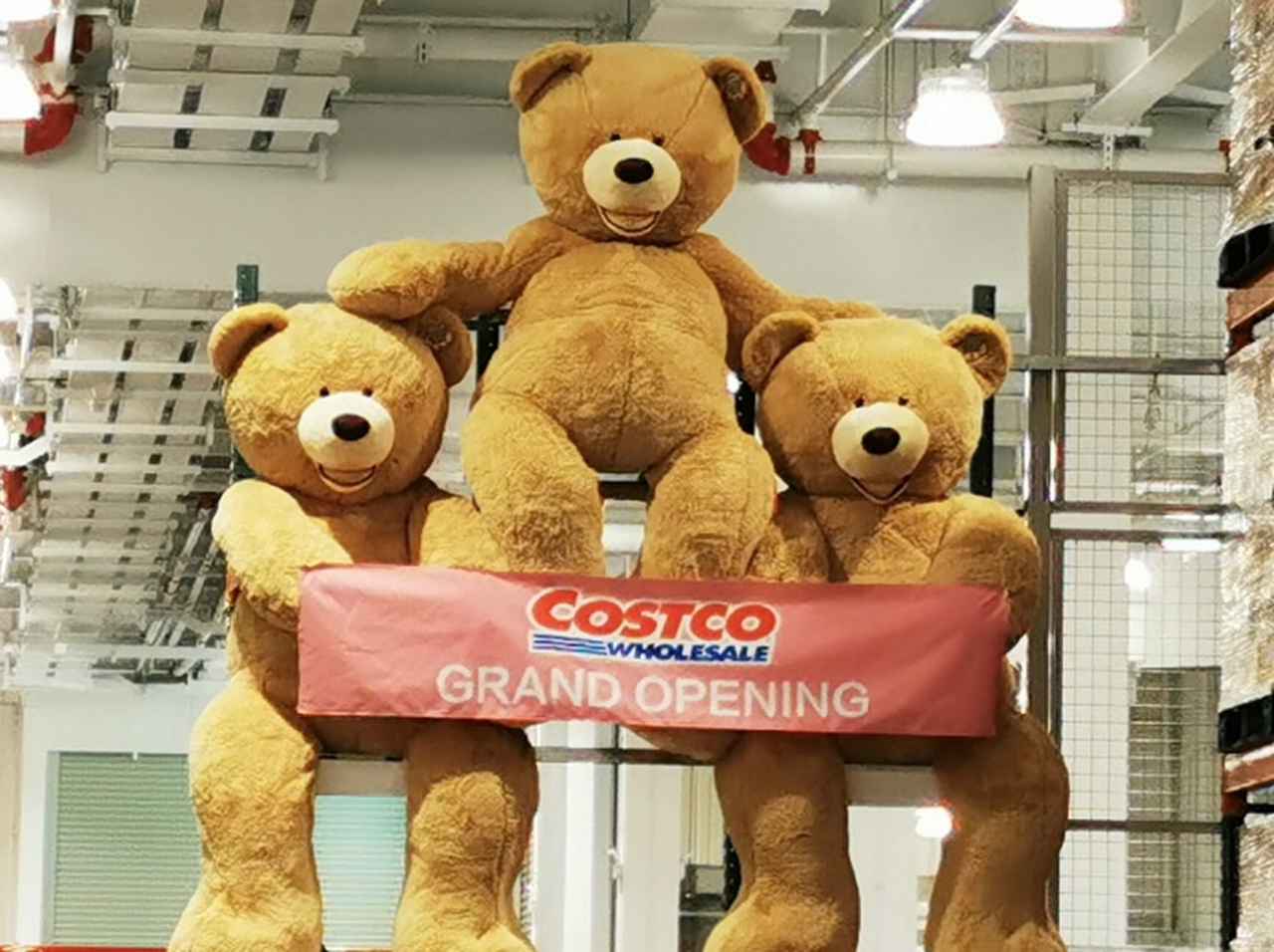 コストコで2メートル超えの「巨大なクマのぬいぐるみ」を売っている理由