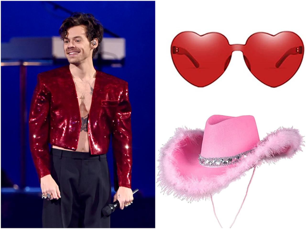 ハリー・スタイルズの来日公演に持って行きたいアイテム6選