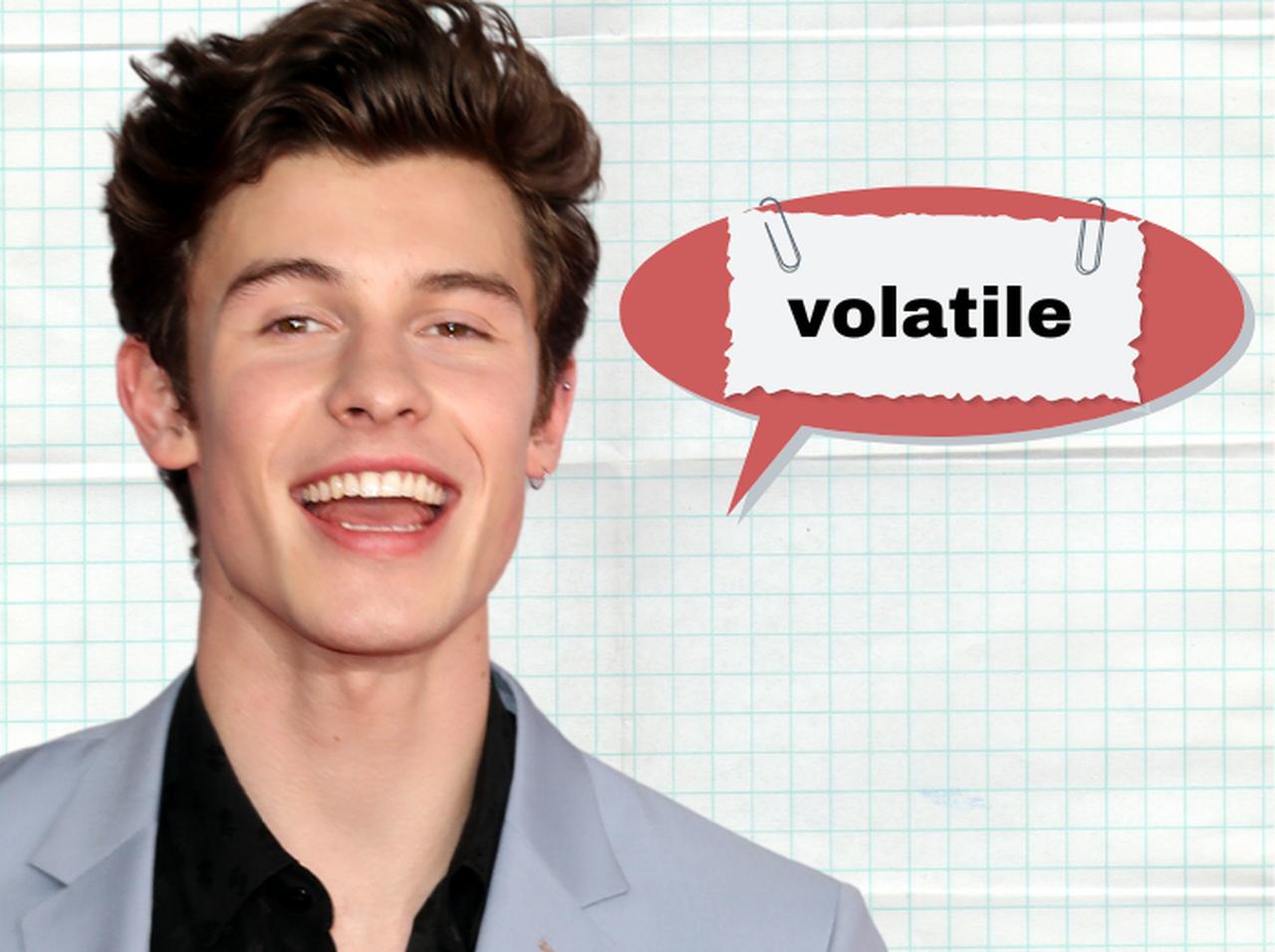 ショーン・メンデスが使ってた「Volatile」ってどんな意味?