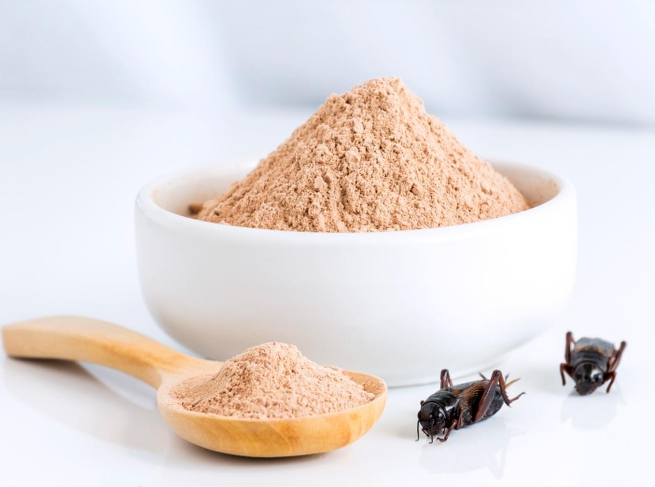 1歳の子どものおやつに“コオロギ”を与えて物議を醸す、コオロギ食はアリ?ナシ?