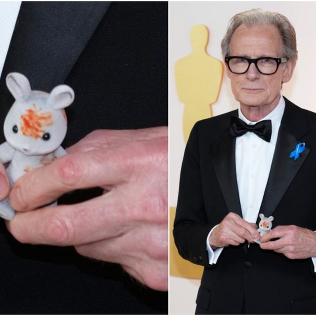 ビル・ナイのウサギ、超レアなシルバニアファミリーだった