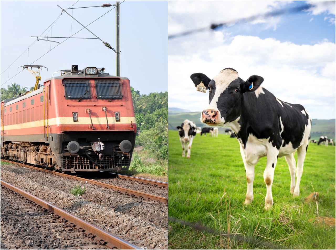 線路に侵入した82歳の男性、飛んできた牛が激突して死亡