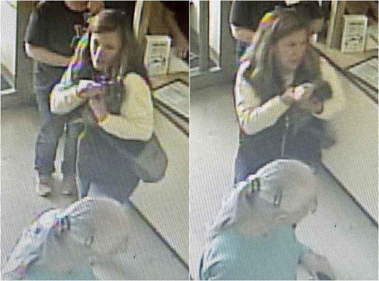 「中にはキスする人もいた」アライグマ来店で狂犬病の恐れ、当局が飼い主探しをフェイスブックで訴える