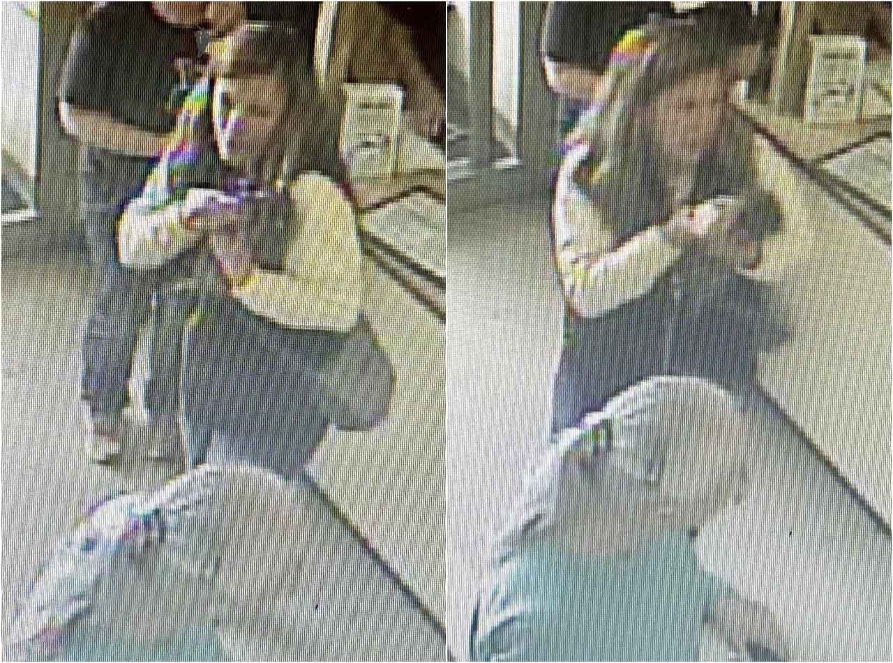 「中にはキスする人もいた」アライグマ来店で狂犬病の恐れ、当局が飼い主探しをフェイスブックで訴える