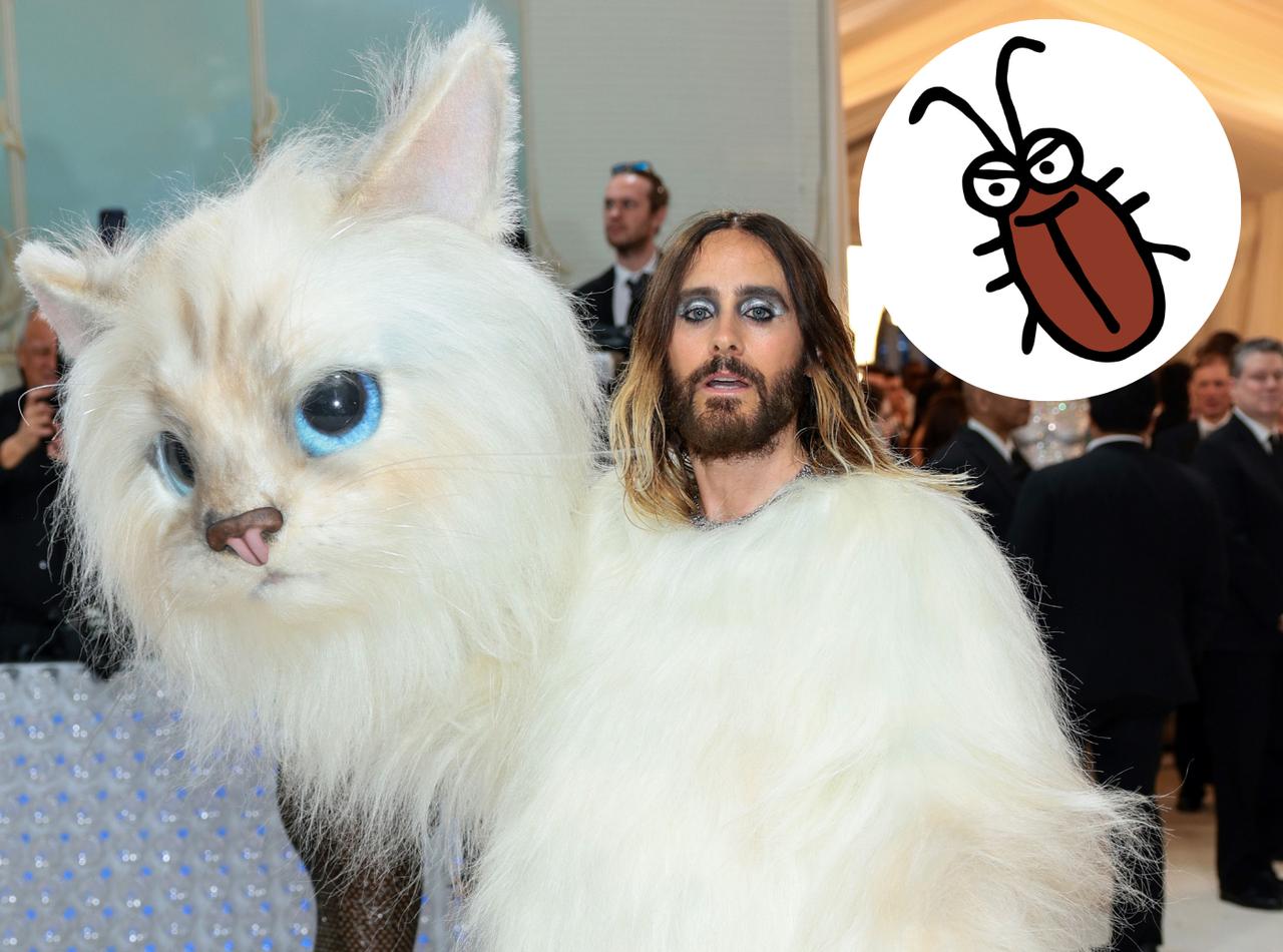 メットガラに招待状を持たない“ニューヨーク市民”が乱入、この日一番のフラッシュを浴びる