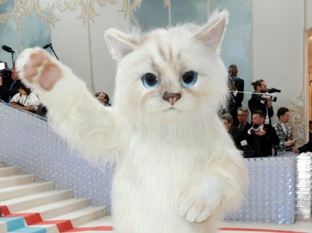 巨大な猫の着ぐるみの「中身」はまさかの人気俳優だった【メットガラ2023】