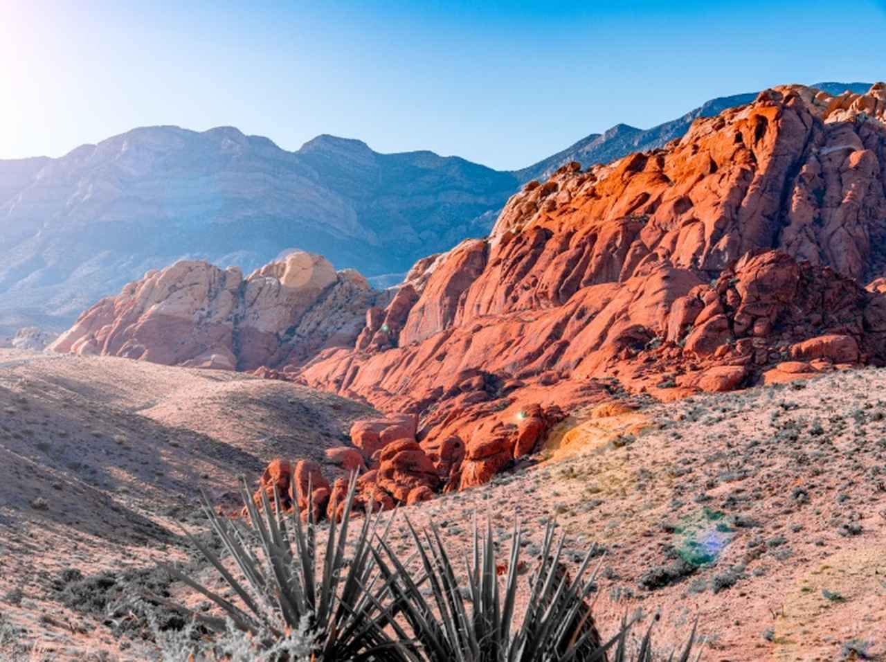 灼熱の渓谷で男性が4人の登山者の救助を手伝った後で亡くなる