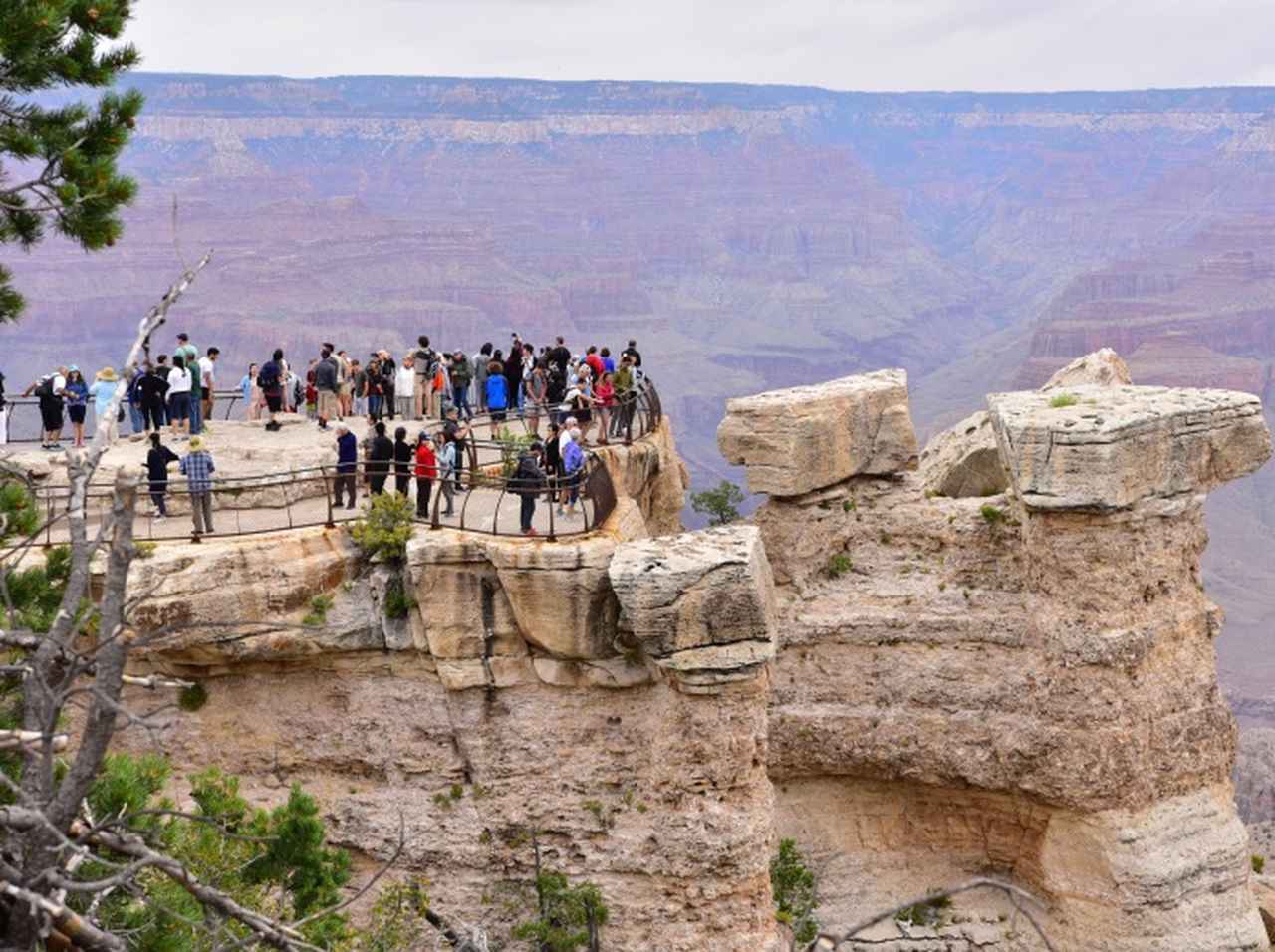 他人に場所譲った少年が30m転落、グランドキャニオンで奇跡の救出も脊椎9箇所を骨折