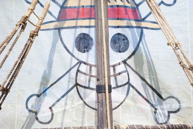 『ONE PIECE』製作総指揮も乗り気！ Dr.くれは役はオスカー女優で決定!?