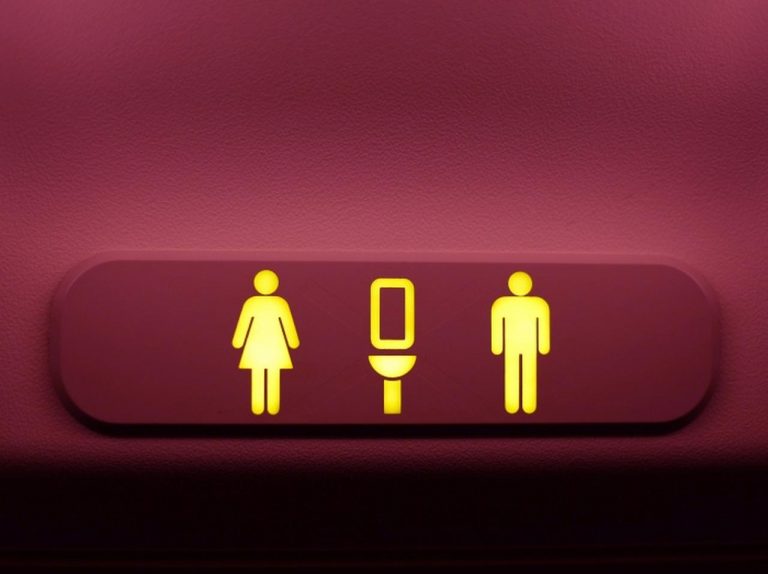 飛行機のトイレでカップルが性行為→客室乗務員がドアを開けてしまう