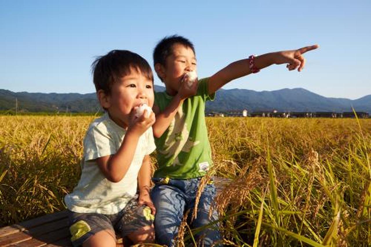 「おにぎりアクション」に参加しよう！『おにぎりの写真』投稿したら学校給食が寄付される
