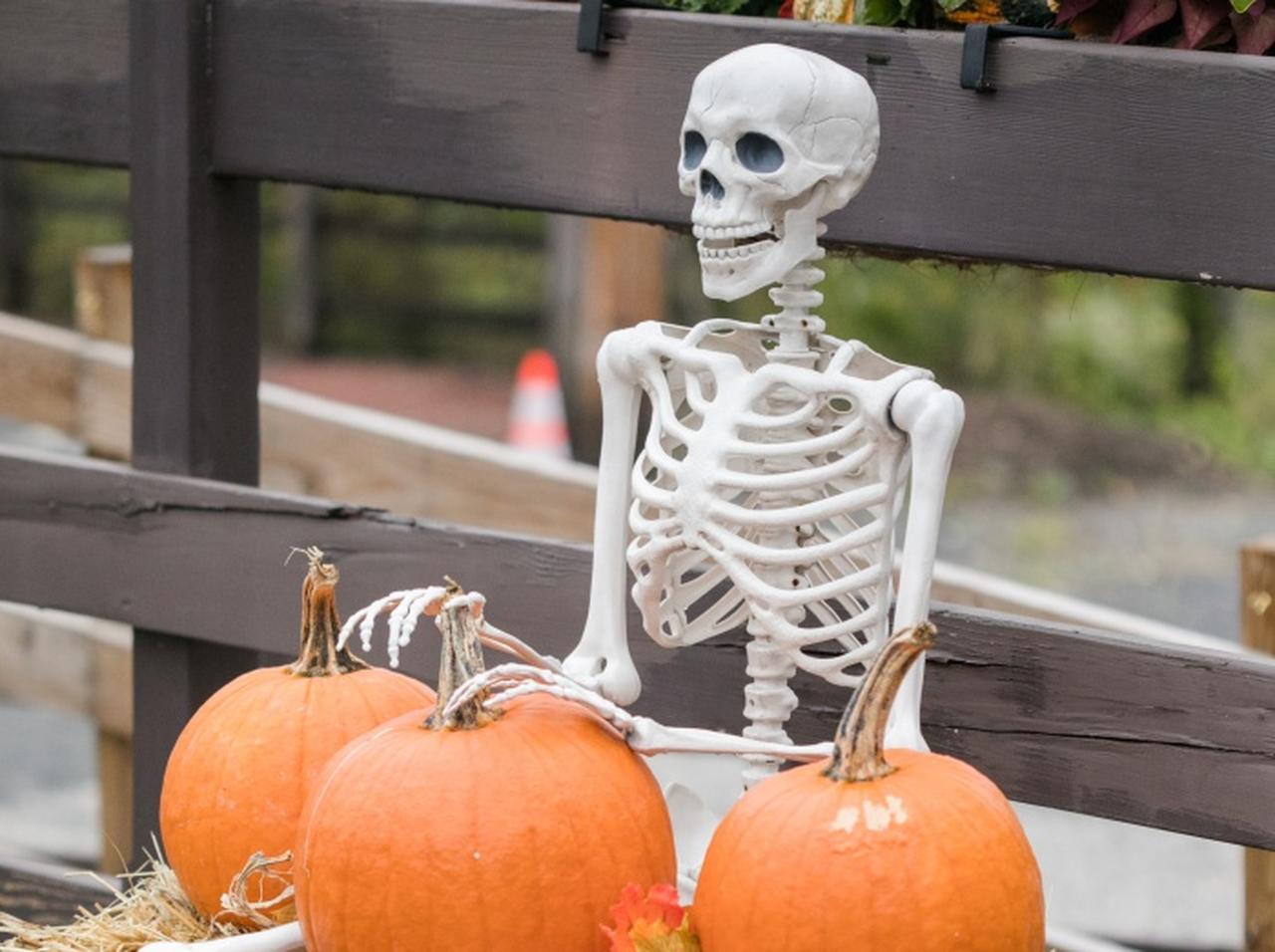 一般人宅の“ハロウィンの飾り付け”を市が問題視、SNSで「警告」を発する