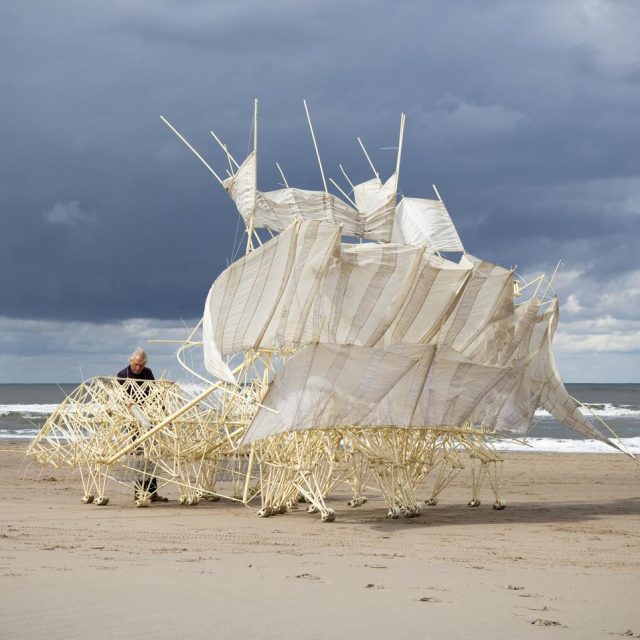 巨大アートと海岸を歩けるイベントも！「テオ・ヤンセン展」が千葉県立美術館でスタート