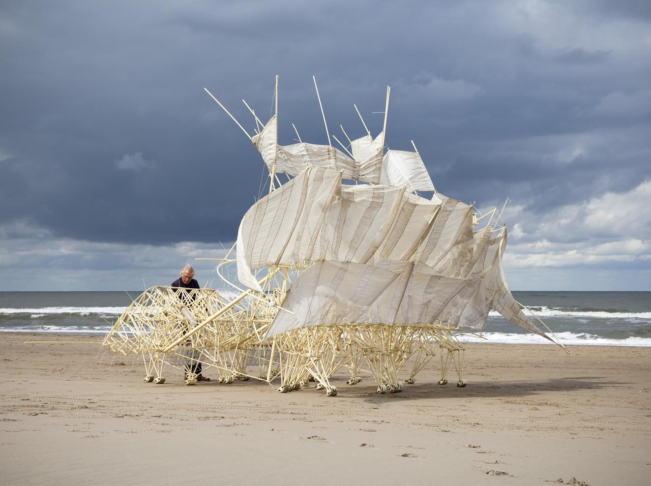 巨大アートと海岸を歩けるイベントも!「テオ・ヤンセン展」が千葉県立美術館でスタート