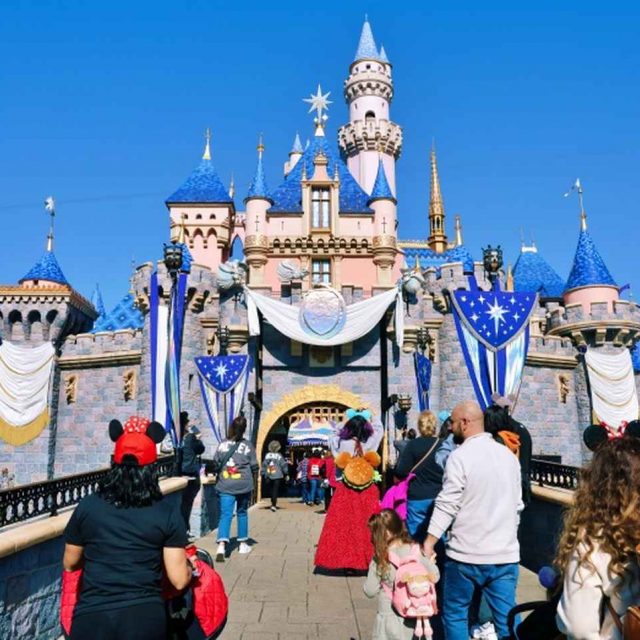 ディズニーランド、ゲストの「迷惑行為」のせいでアトラクションが一時閉鎖になる