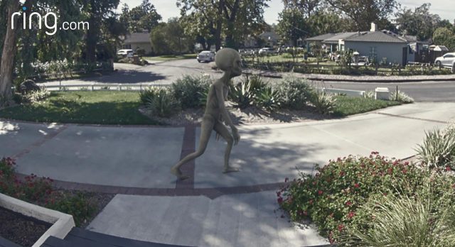 撮れたら1.5億円あげる！ アマゾンが人気商品「Ring」で撮って欲しい映像が無理ゲー