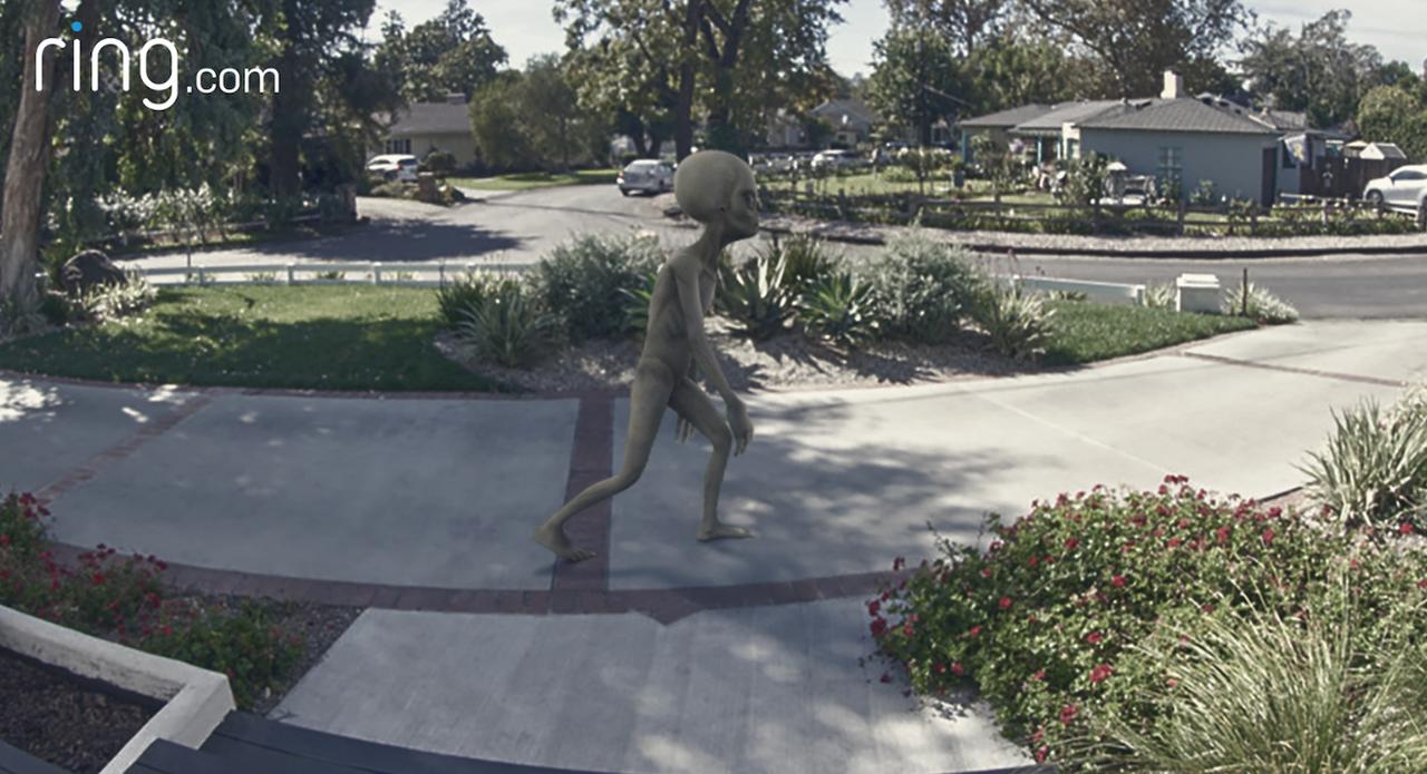 撮れたら1.5億円あげる！ アマゾンが人気商品「Ring」で撮って欲しい映像が無理ゲー