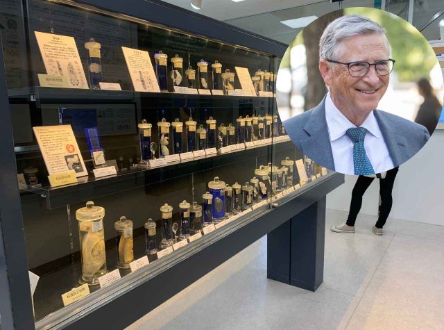 「ぜひ足を運んでみてください」ビル・ゲイツが世界中におすすめする日本の博物館がここ！