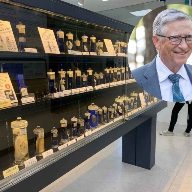 「ぜひ足を運んでみてください」ビル・ゲイツが世界中におすすめする日本の博物館がここ！