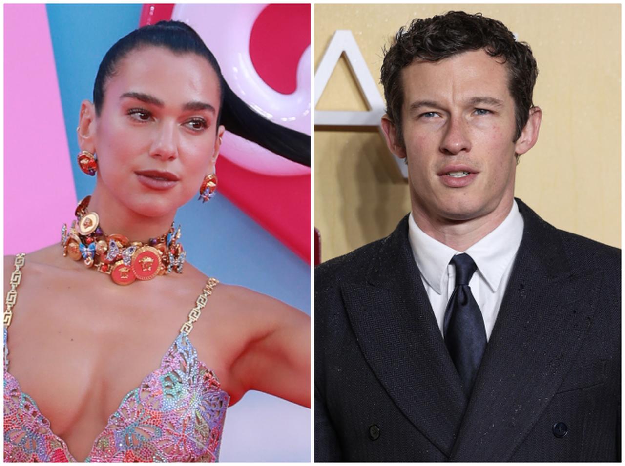 デュア・リパと『ファンタビ』テセウス役のカラム・ターナーに熱愛説が浮上