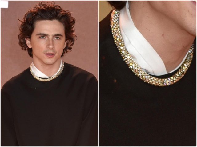 900個以上の宝石を使用、ティモシー・シャラメが再びカルティエとコラボ