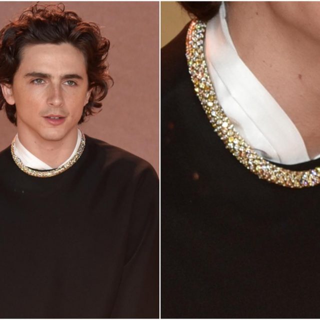 900個以上の宝石を使用、ティモシー・シャラメが再びカルティエとコラボ