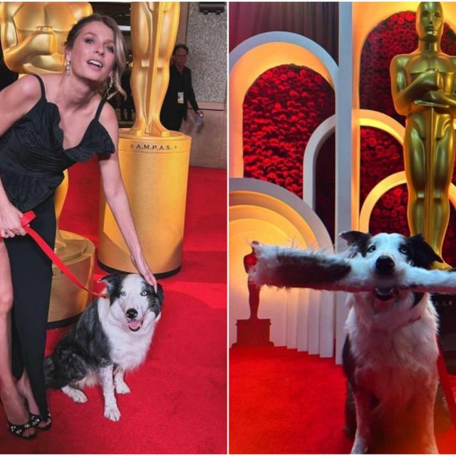 アカデミー賞授賞式に出席した「犬のメッシ」の拍手シーンの裏側がシュール