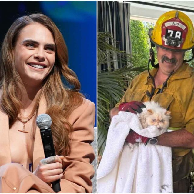 カーラ・デルヴィーニュの家が大火事、奇跡的に消防隊が2匹の猫を救出