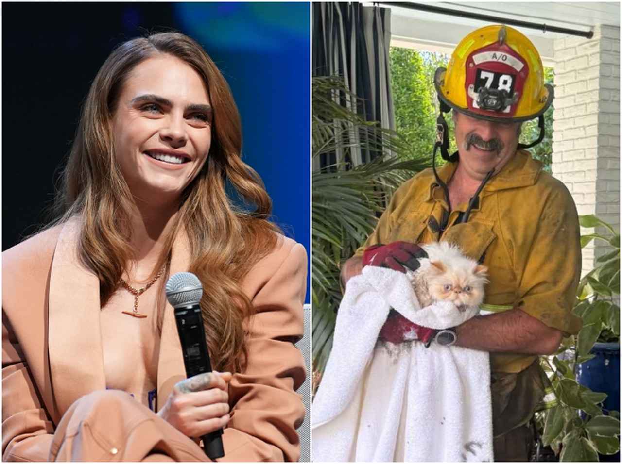 カーラ・デルヴィーニュの家が大火事、奇跡的に消防隊が2匹の猫を救出