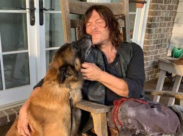『ウォーキング・デッド』ダリルの愛犬ドッグが死去、ノーマン・リーダスが追悼