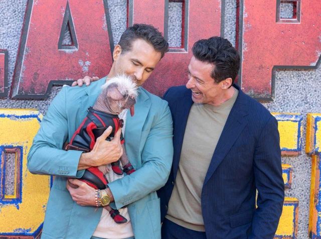 「イギリスで最も醜い犬」ライアン・レイノルズに抱かれてレカペへ