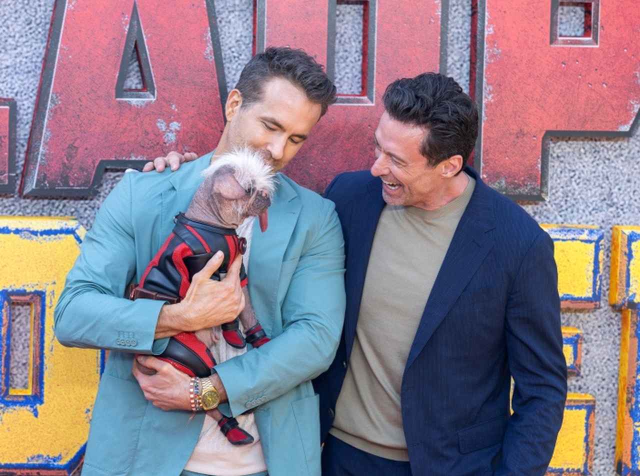 「イギリスで最も醜い犬」ライアン・レイノルズに抱かれてレカペへ