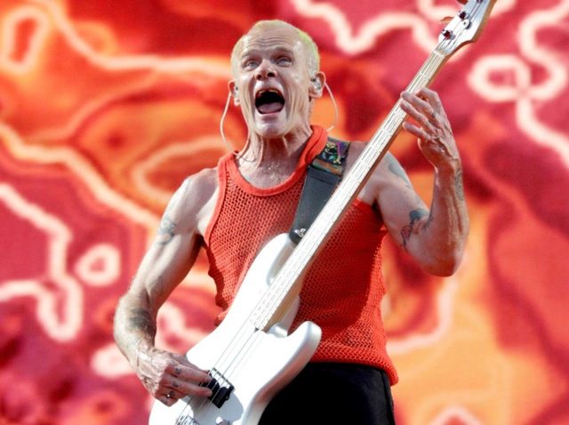 レッチリのフリー、日系アーティストの『かぶとむし』にハマる