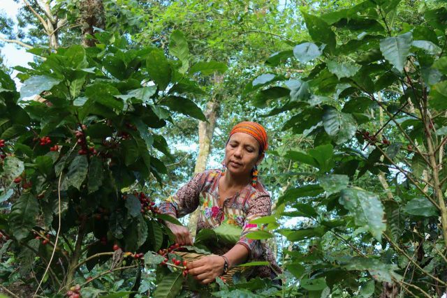 賞金は約3,900万円！リジェネラティブな活動を称える『Lush Spring Prize 2025』が応募受付を開始