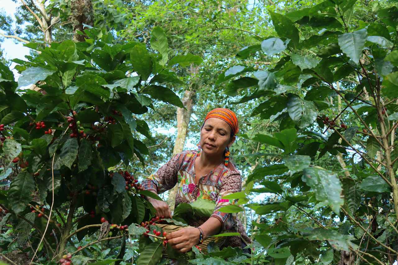 賞金は約3,900万円!リジェネラティブな活動を称える『Lush Spring Prize 2025』が応募受付を開始