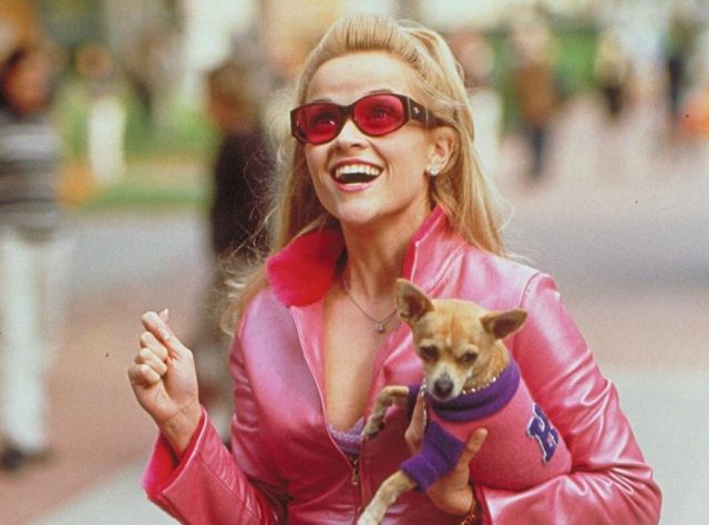 『キューティ・ブロンド』前日譚ドラマがついに動き出す