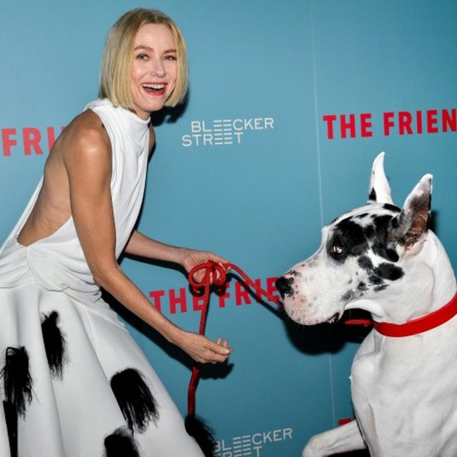 共演した犬とレカペへ、ナオミ・ワッツが犬とマッチしたドレスを着用
