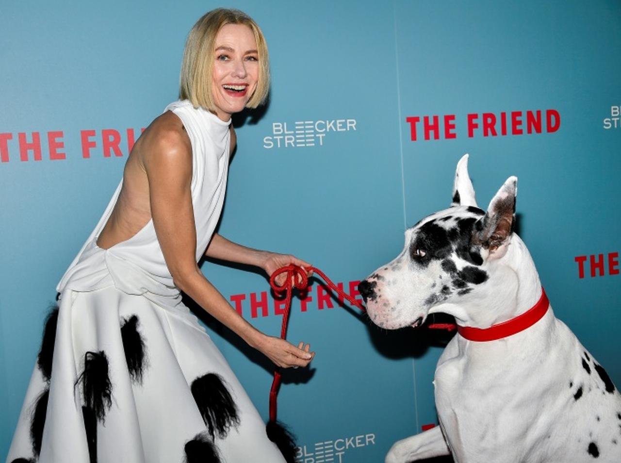 共演した犬とレカペへ、ナオミ・ワッツが犬とマッチしたドレスを着用