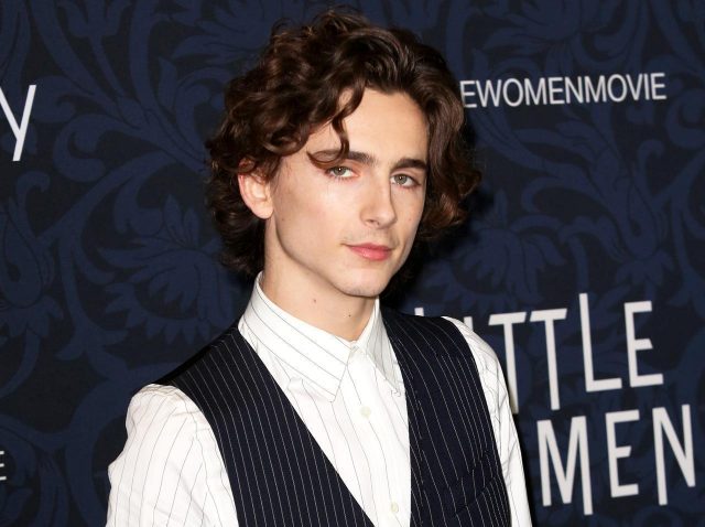 ティモシー・シャラメ、ボブ・ディランのジャケットを350万円で落札か