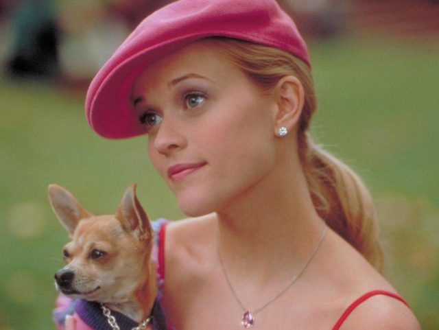 『キューティ・ブロンド』前日譚ドラマのエル役が決定！ 場面写真も初公開