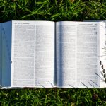 米辞書が選んだ2025年の「今年の言葉」はTikTok発ミーム「67」