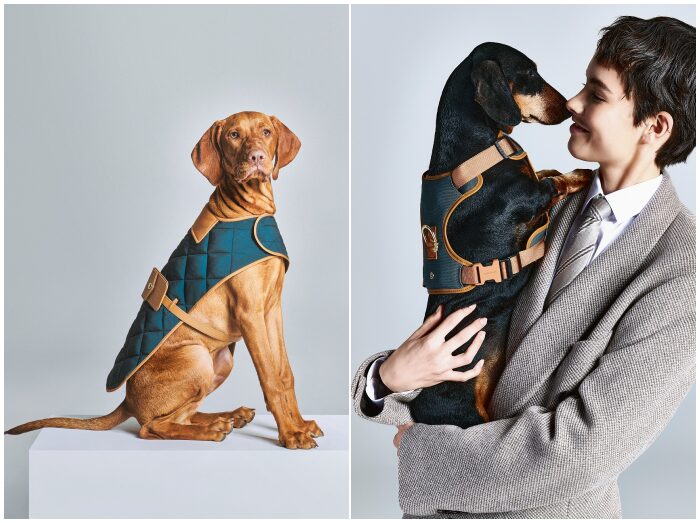 犬もファッションアイコンに！アルマーニの新作ドッグアイテムが圧倒的存在感