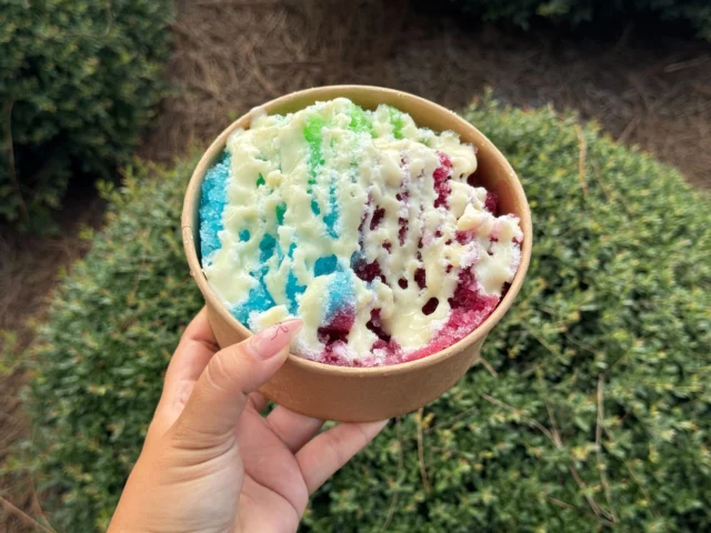 ディズニー・スプリングスに日本の“かき氷”カートが登場！この夏の新フードが続々
