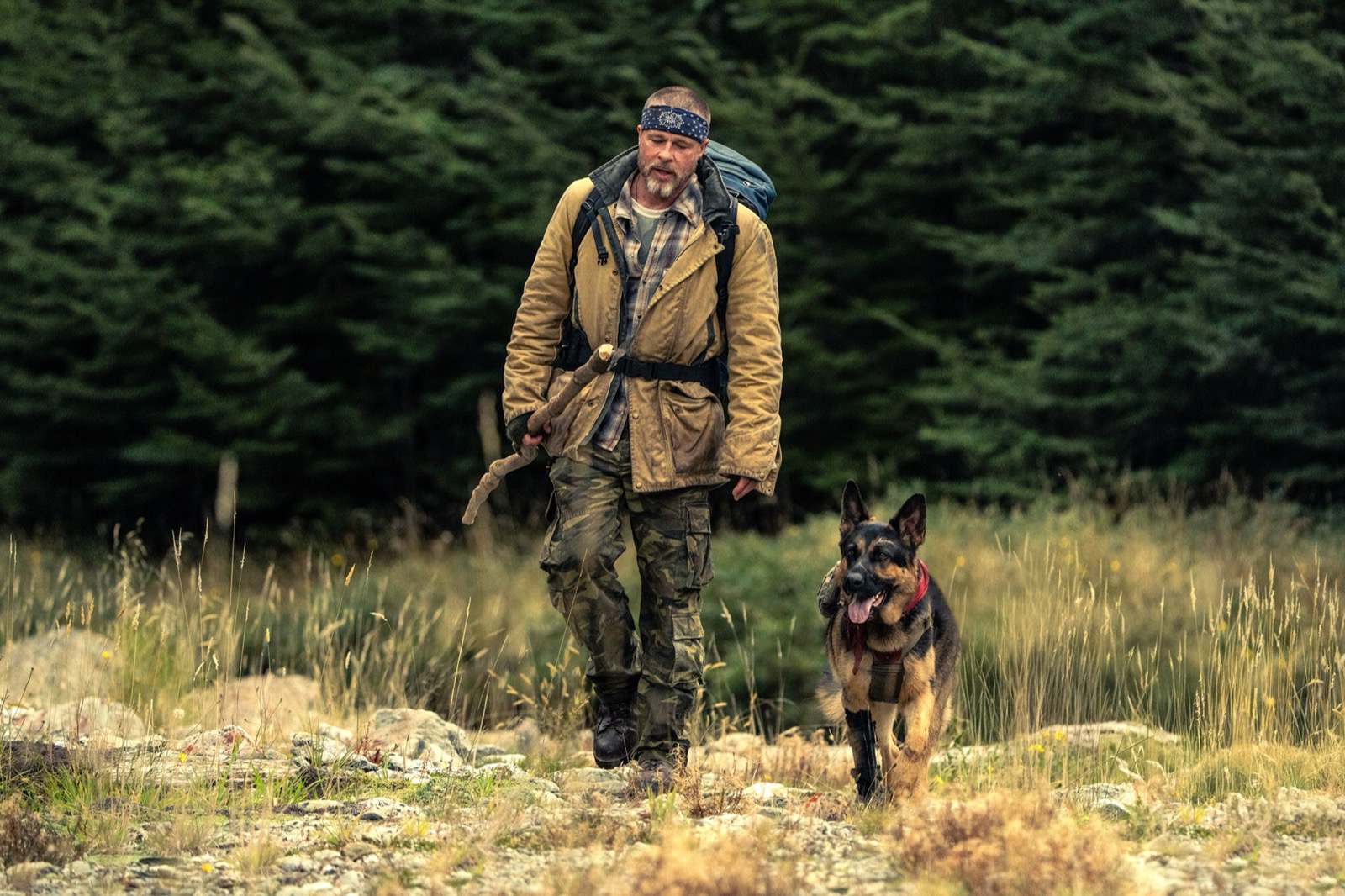 「もう離れない」ブラッド・ピットと義足の軍用犬がアラスカで交わした約束