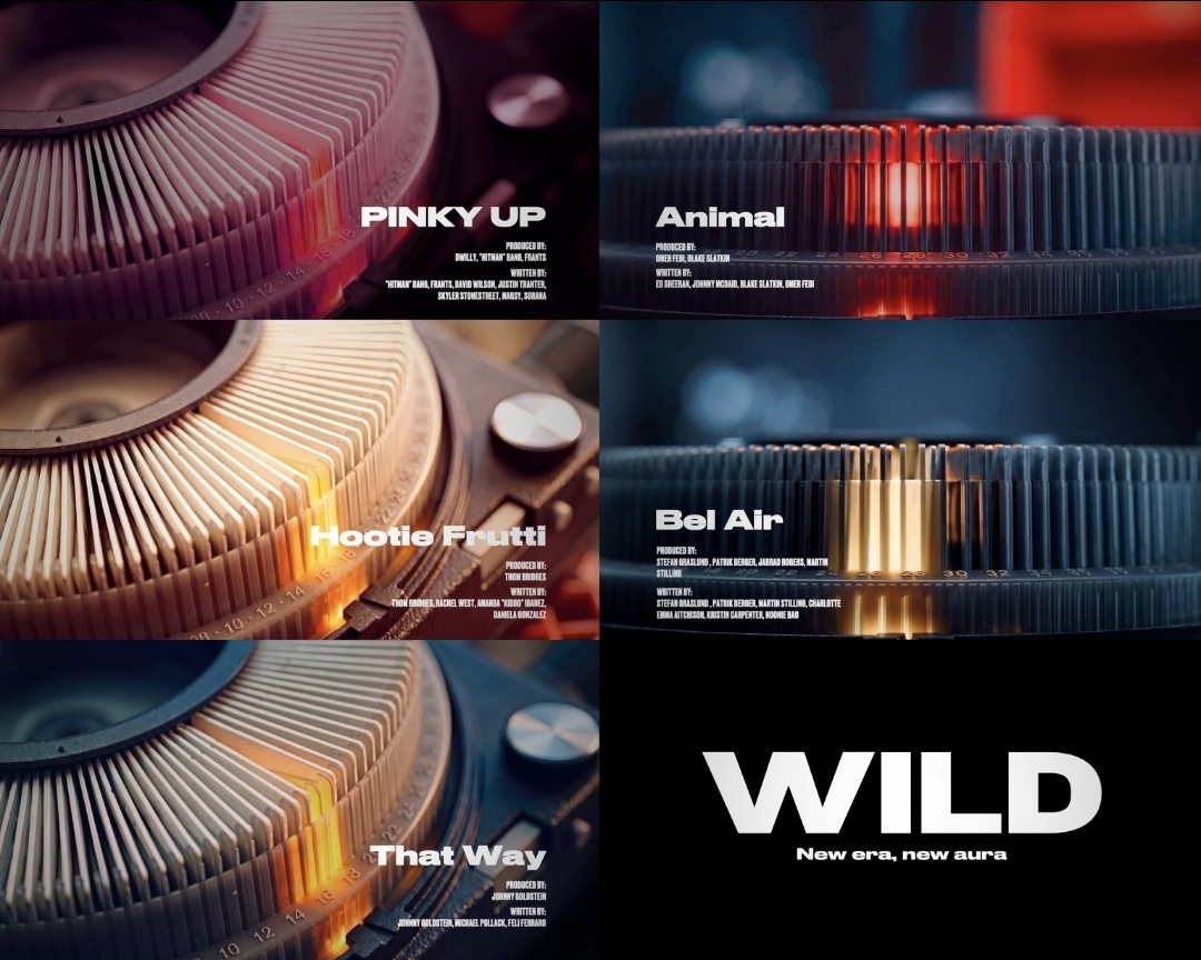 2分52秒で『WILD』全曲が流れた。KATSEYEが最後に映した一文