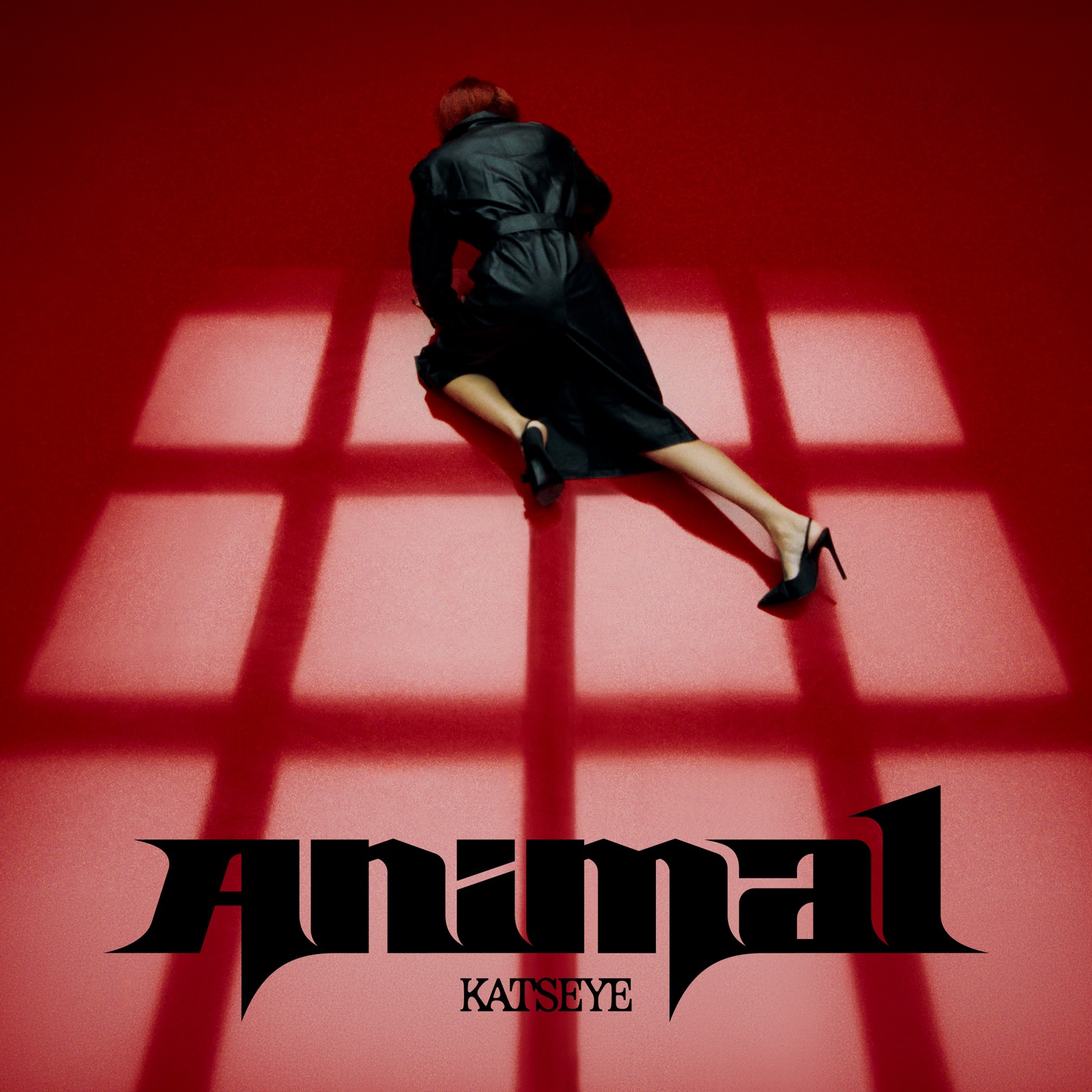 KATSEYE「Animal」ジャケット写真