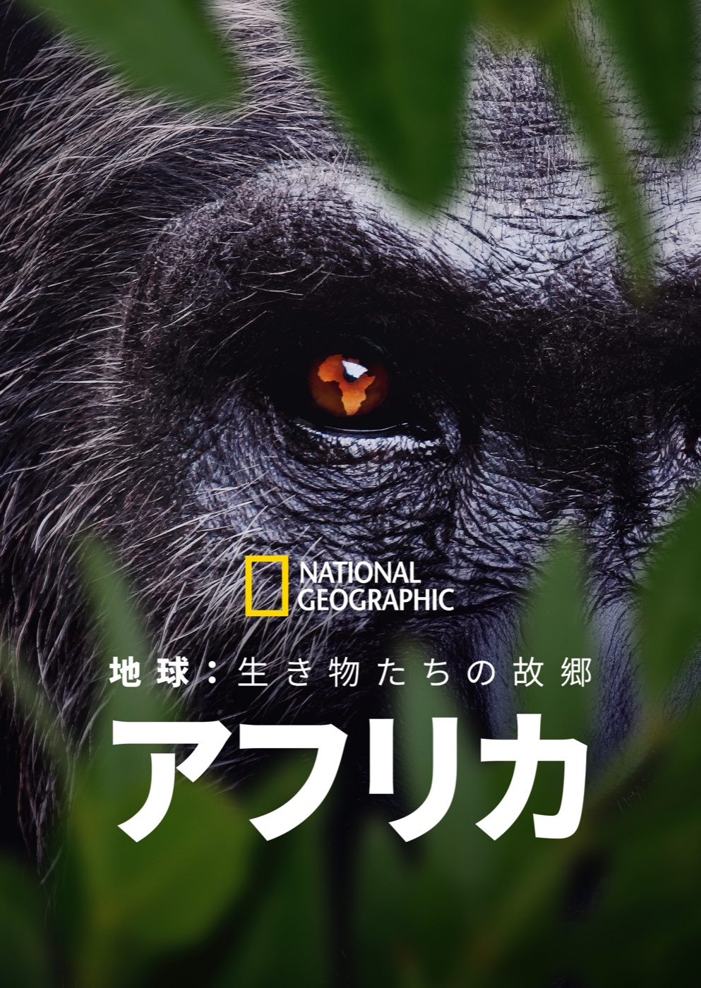 『地球:生き物たちの故郷~アフリカ』